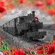 Remembrance Sunday  -  10th of November