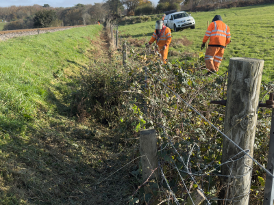 Completion of inspections and clearing of ditches and culverts on Thursday 14th November. Under the brambles and weeds is the location of bridge 68, an occupation bridge which was removed on rebuild of the line and replaced with a culvert